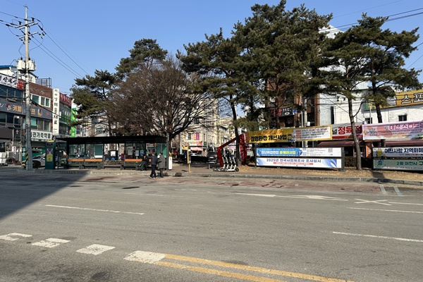 터미널건너편(소나무정류장)